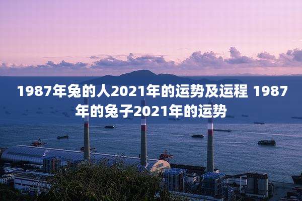 1987年兔的人2021年的运势及运程 1987年的兔子2021年的运势