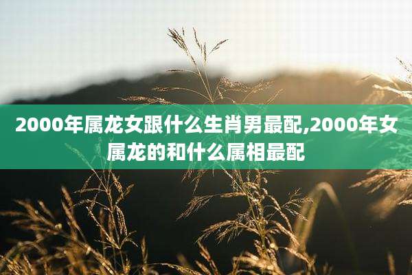2000年属龙女跟什么生肖男最配,2000年女属龙的和什么属相最配