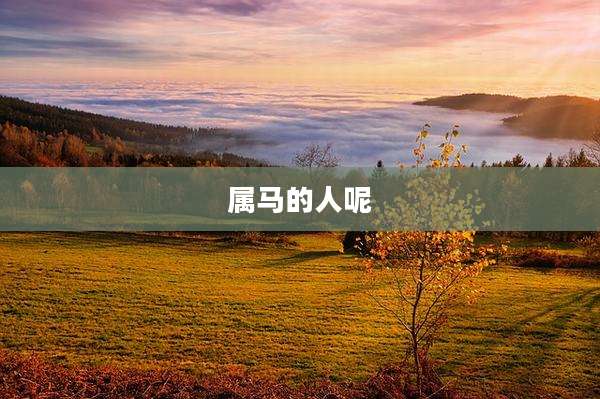 属马的人呢