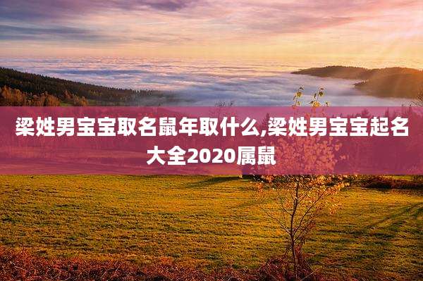 梁姓男宝宝取名鼠年取什么,梁姓男宝宝起名大全2020属鼠