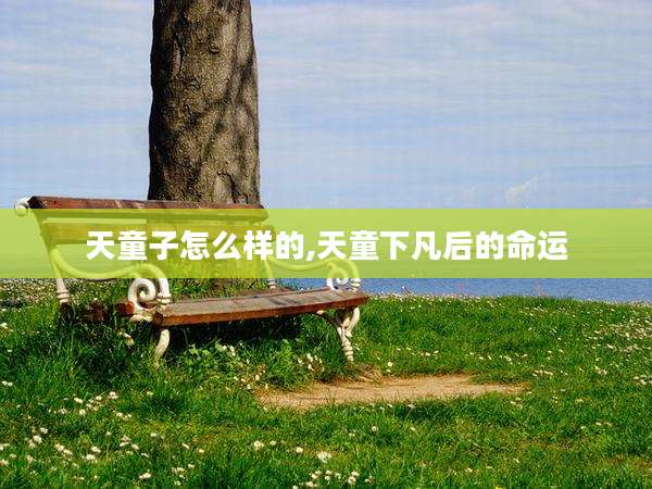 天童子怎么样的,天童下凡后的命运