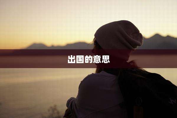 出国的意思