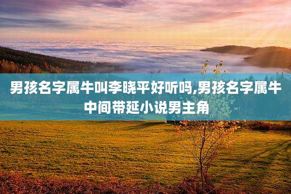男孩名字属牛叫李晓平好听吗,男孩名字属牛中间带延小说男主角