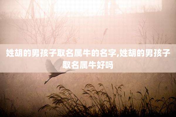 姓胡的男孩子取名属牛的名字,姓胡的男孩子取名属牛好吗