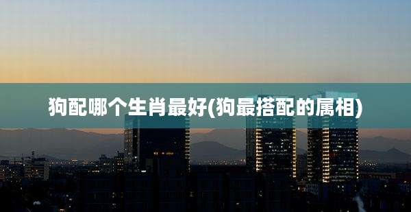 狗配哪个生肖最好(狗最搭配的属相)