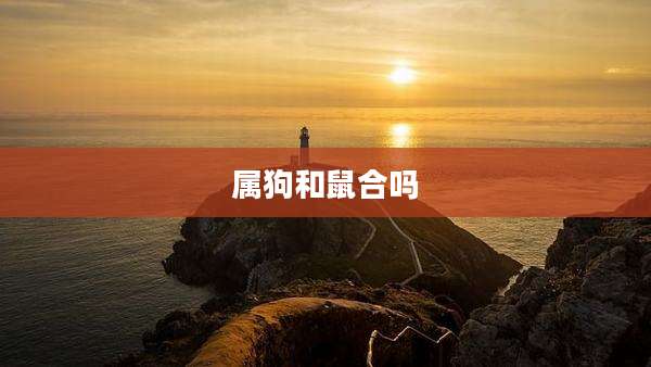 属狗和鼠合吗