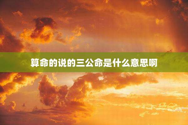 算命的说的三公命是什么意思啊