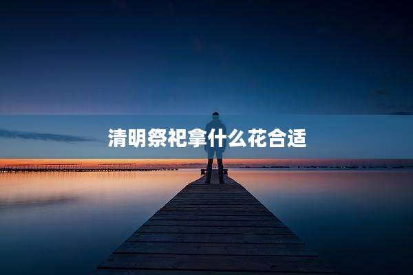 清明祭祀拿什么花合适