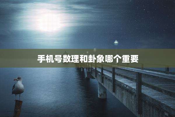 手机号数理和卦象哪个重要