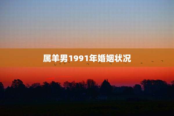 属羊男1991年婚姻状况