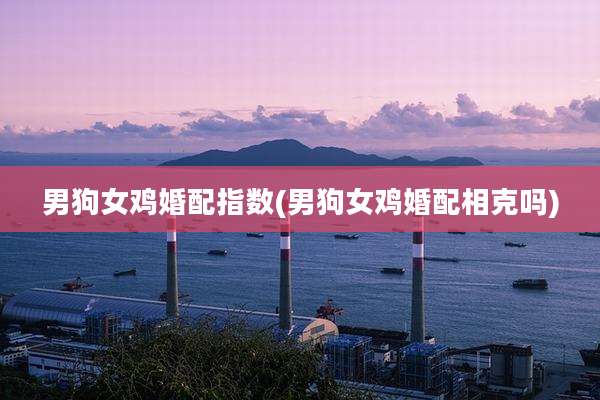 男狗女鸡婚配指数(男狗女鸡婚配相克吗)