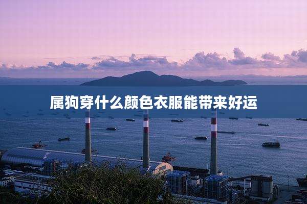 属狗穿什么颜色衣服能带来好运