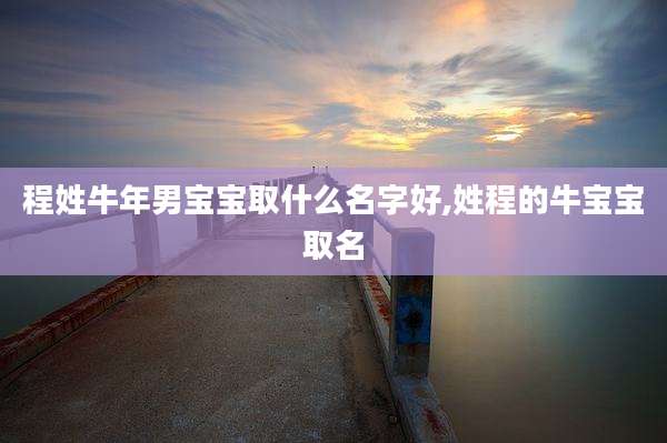 程姓牛年男宝宝取什么名字好,姓程的牛宝宝取名