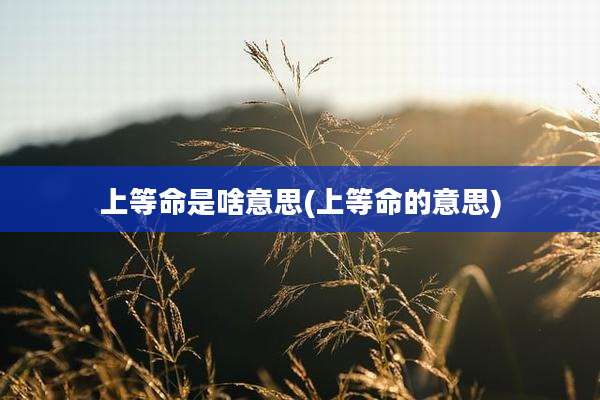 上等命是啥意思(上等命的意思)