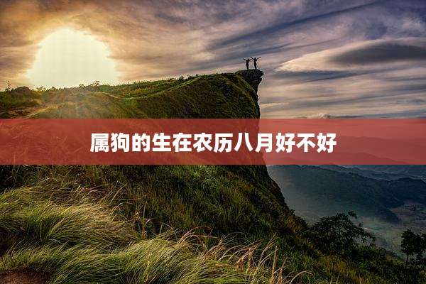 属狗的生在农历八月好不好