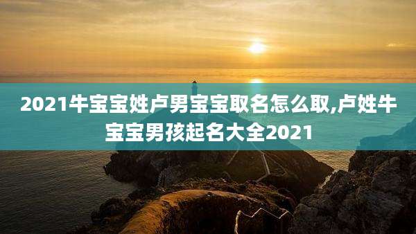 2021牛宝宝姓卢男宝宝取名怎么取,卢姓牛宝宝男孩起名大全2021
