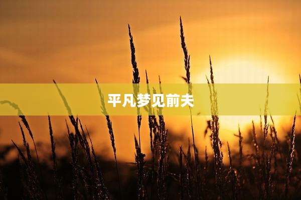 平凡梦见前夫