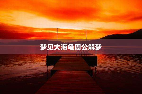 梦见大海龟周公解梦