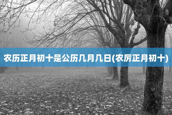 农历正月初十是公历几月几日(农厉正月初十)