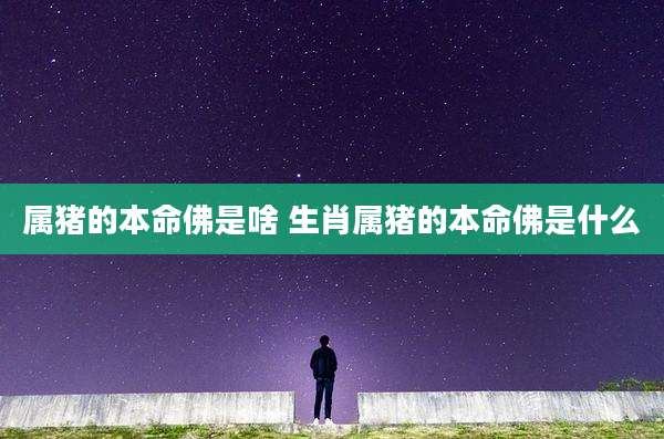 属猪的本命佛是啥 生肖属猪的本命佛是什么
