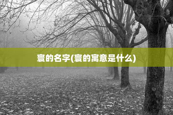 寰的名字(寰的寓意是什么)