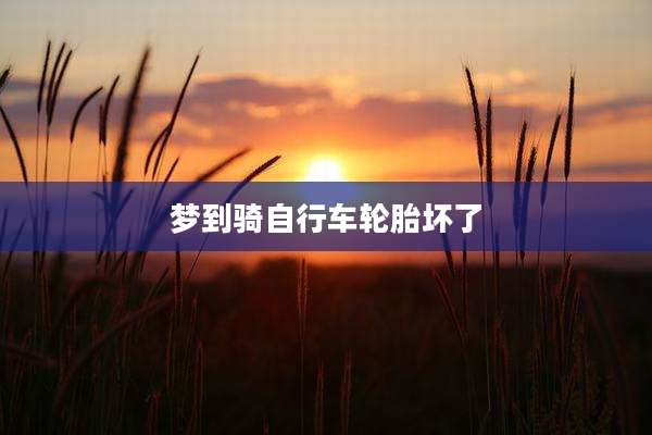 梦到骑自行车轮胎坏了