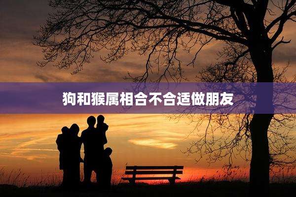 狗和猴属相合不合适做朋友