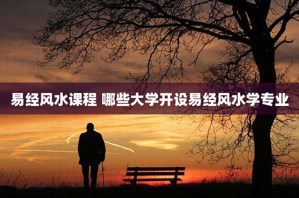 易经风水课程 哪些大学开设易经风水学专业
