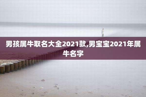 男孩属牛取名大全2021款,男宝宝2021年属牛名字