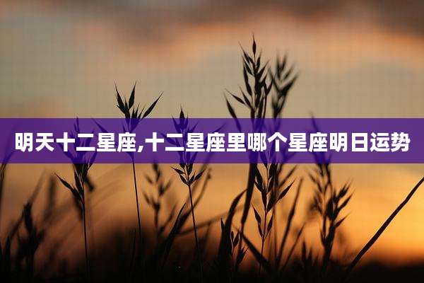 明天十二星座,十二星座里哪个星座明日运势