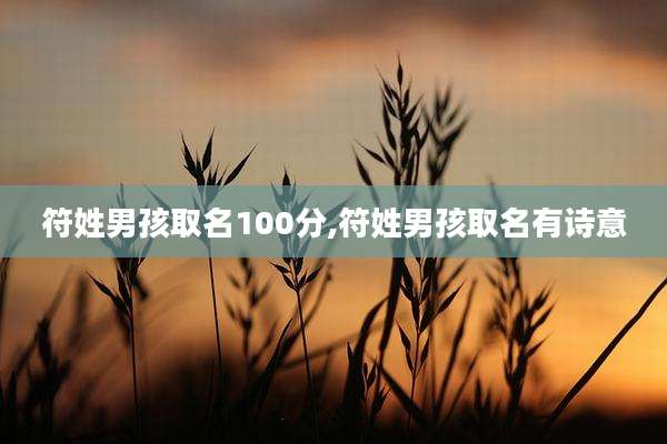 符姓男孩取名100分,符姓男孩取名有诗意