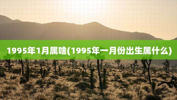 1995年1月属啥(1995年一月份出生属什么)