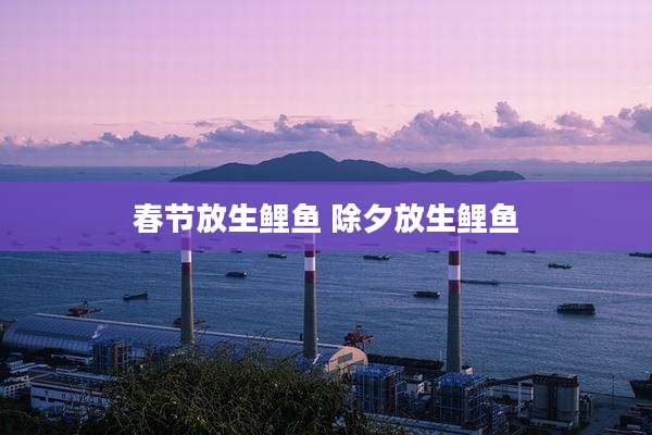春节放生鲤鱼 除夕放生鲤鱼