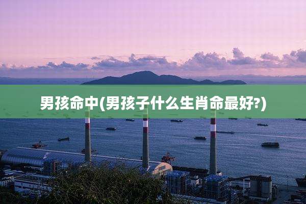 男孩命中(男孩子什么生肖命最好?)