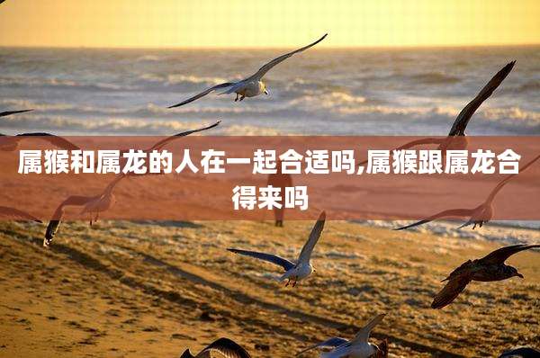 属猴和属龙的人在一起合适吗,属猴跟属龙合得来吗