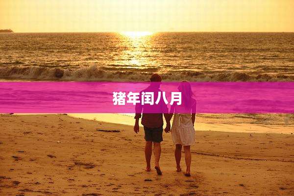 猪年闰八月