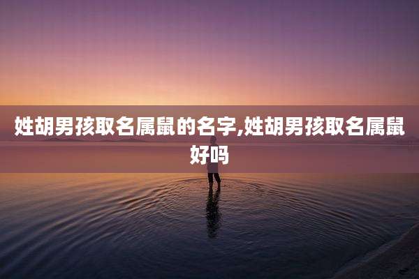 姓胡男孩取名属鼠的名字,姓胡男孩取名属鼠好吗