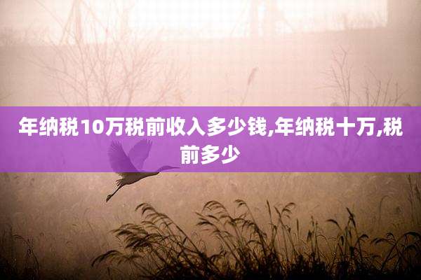 年纳税10万税前收入多少钱,年纳税十万,税前多少