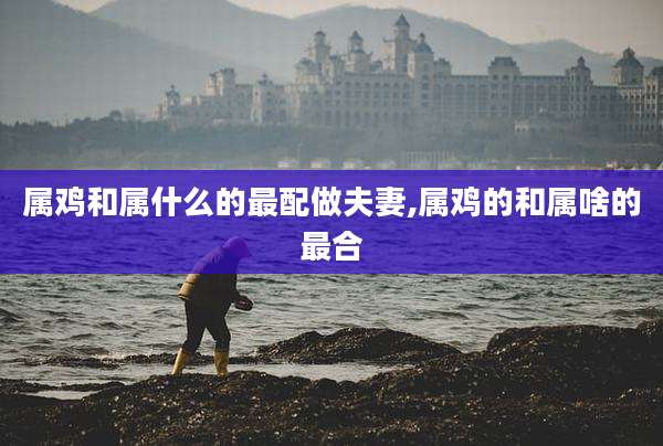 属鸡和属什么的最配做夫妻,属鸡的和属啥的最合
