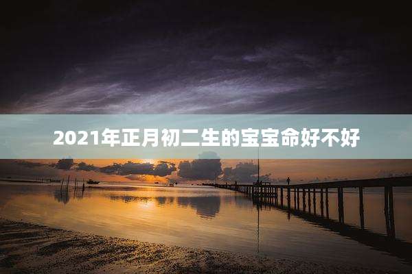 2021年正月初二生的宝宝命好不好