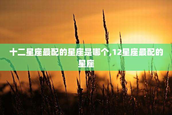 十二星座最配的星座是哪个,12星座最配的星座