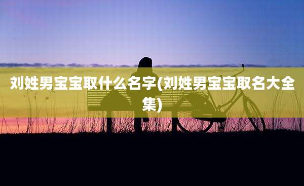 刘姓男宝宝取什么名字(刘姓男宝宝取名大全集)