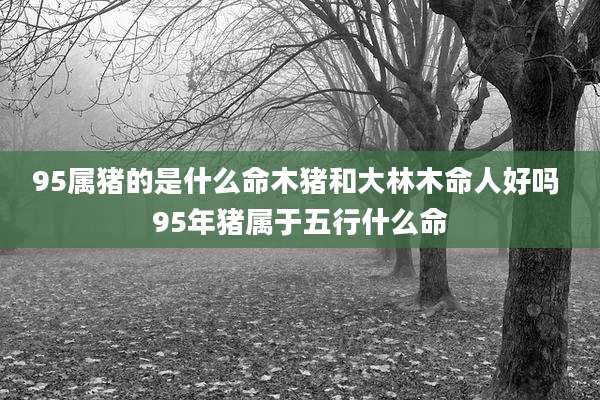 95属猪的是什么命木猪和大林木命人好吗 95年猪属于五行什么命