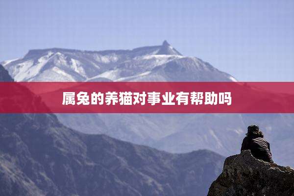 属兔的养猫对事业有帮助吗