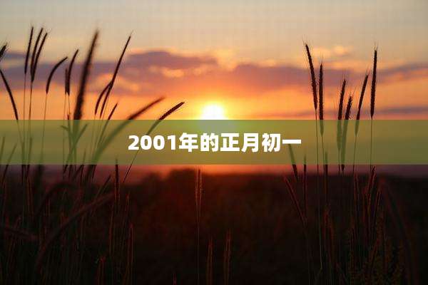 2001年的正月初一