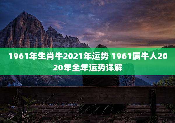 1961年生肖牛2021年运势 1961属牛人2020年全年运势详解