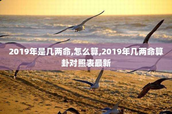 2019年是几两命,怎么算,2019年几两命算卦对照表最新