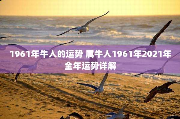 1961年牛人的运势 属牛人1961年2021年全年运势详解
