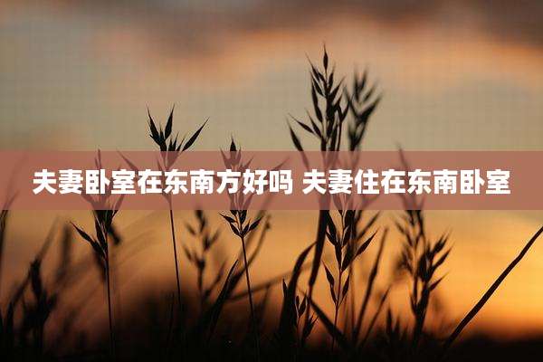 夫妻卧室在东南方好吗 夫妻住在东南卧室