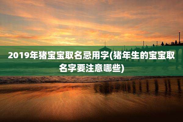 2019年猪宝宝取名忌用字(猪年生的宝宝取名字要注意哪些)